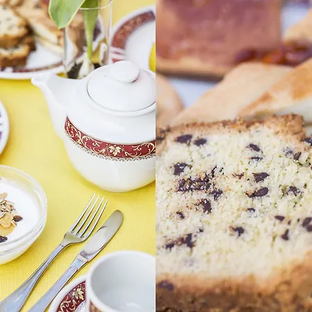 Aries فندق لسا