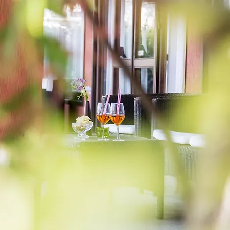 Hotel Aries Lesa